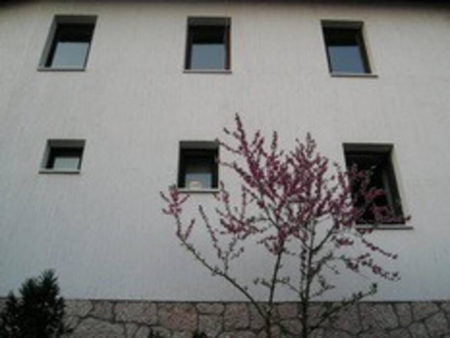 Apartment In Old Town - Top Location SJJ Exterior foto
